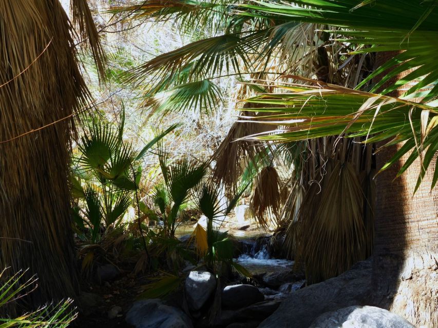 Palm Springs: Indian Canyons Jeep/Hiking Combo Tour - Cahuilla traditions brought into the open