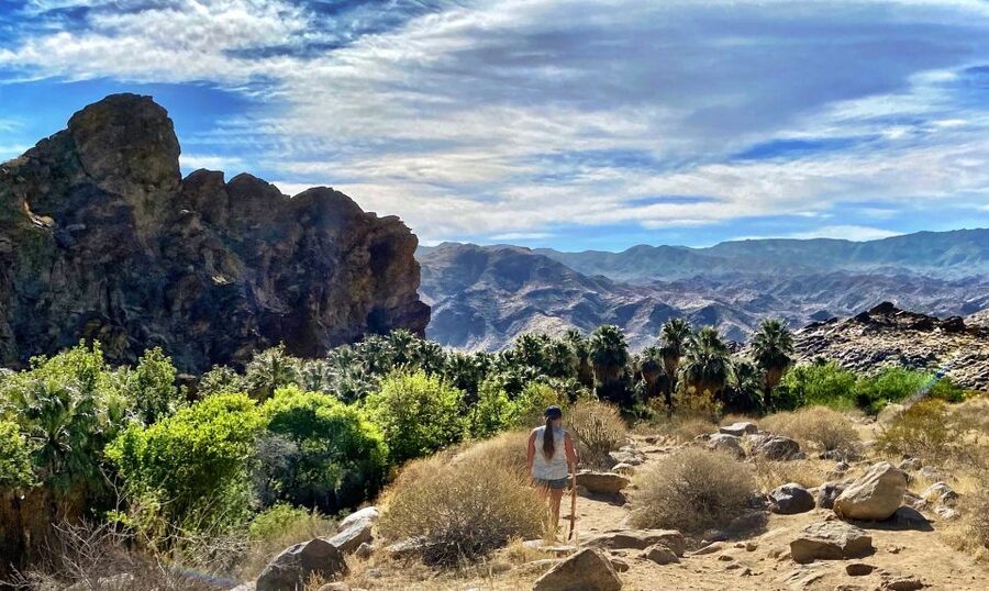 Palm Springs: Indian Canyons Jeep/Hiking Combo Tour - The Palm Canyon overlook and the long view