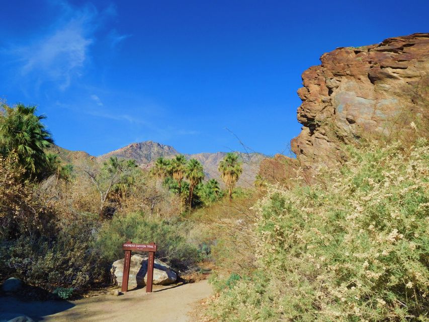 Palm Springs: Indian Canyons Jeep/Hiking Combo Tour - What the $250 price really covers