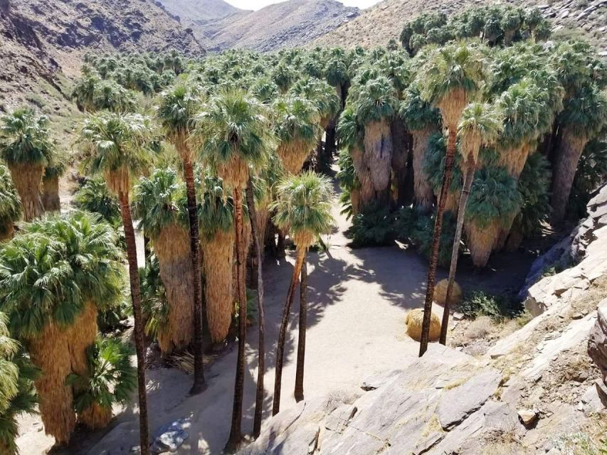 Palm Springs: Indian Canyons Jeep/Hiking Combo Tour - Who should book this Indian Canyons tour