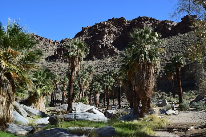 Palm Springs Self-Guided Driving Audio Tour - From Coachella Valley to Palm Springs International Airport