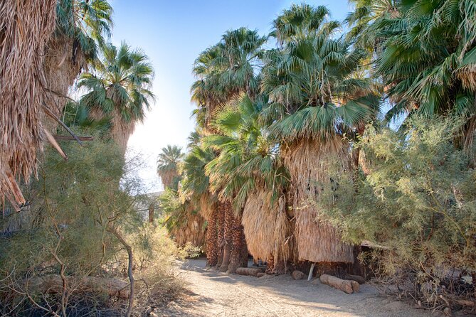 Palm Springs Self-Guided Driving Audio Tour - Desert trails and the Thousand Palms Oasis Preserve