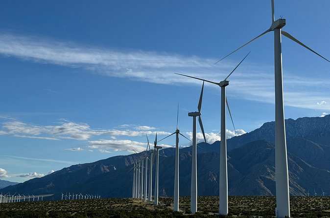 Palm Springs Windmill Guided Tour by Golf Cart - From the 1980s Wind Rush to Modern Turbines