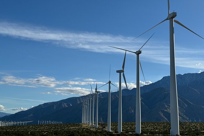 Palm Springs Windmill Guided Tour by Golf Cart - What Makes the Guides Important