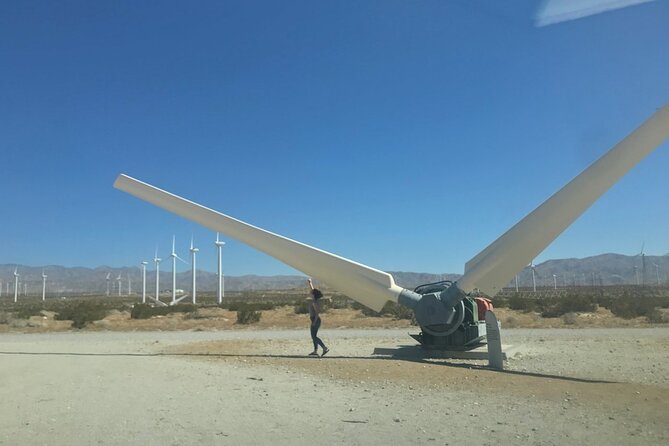 Palm Springs Windmill Tours - Who will get the most from this tour?