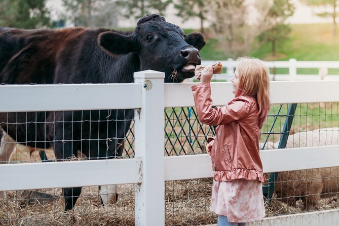 Premium Amish Country Tour including Amish Farm and House - A useful introduction to Lancaster Amish Country