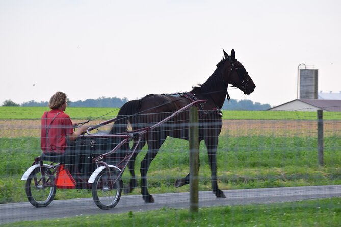 Premium Amish Country Tour including Amish Farm and House - The 15-acre farm, schoolhouse, and animals