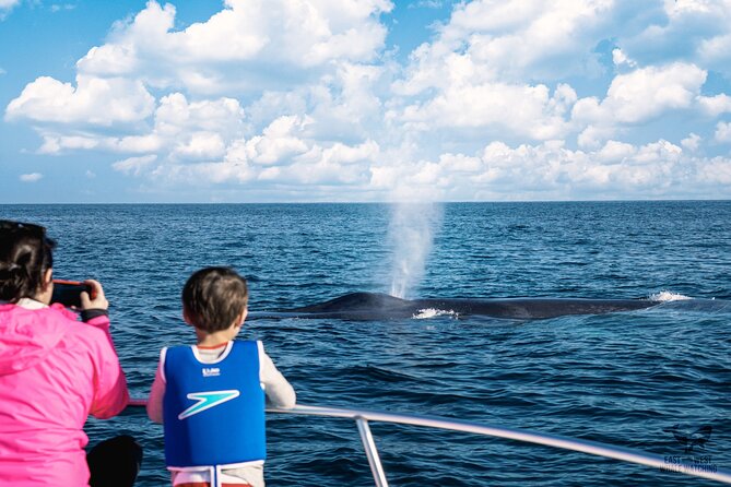 Private 2hr Supreme Whale/Dolphin Watching Tour, Newport Beach CA - Who will get the most from this tour