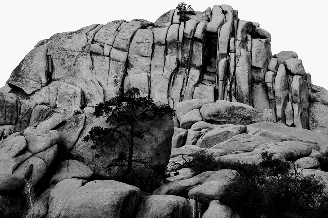 Private-36 Hour Adventure in Joshua Tree National Park - Meals, water, and the practical desert details