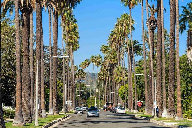 Private 4-Hour Limo Tour of LA by a TV Personality with Drinks - Venice Beach and Marina del Rey