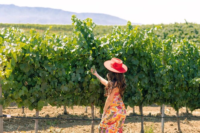 PRIVATE All-Inclusive 3-Winery Tour from Santa Barbara in S.Y.V. - Key points at a glance