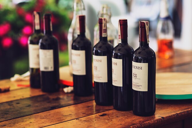 Private All-Inclusive Wine Tasting Tour - What the private vehicle adds to the day