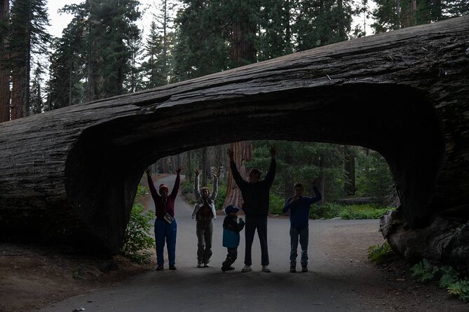 Private Day Tour to Sequoia and Kings Canyon Parks From LA - The long road from Los Angeles to the giant trees
