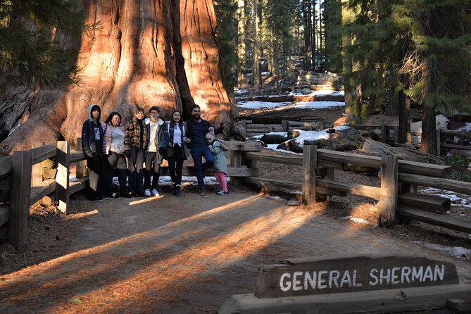 Private Day Tour to Sequoia and Kings Canyon Parks From LA - Timing, meals, and what to carry