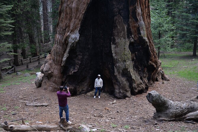 Private Day Tour to Sequoia and Kings Canyon Parks From LA - Booking details and cancellation
