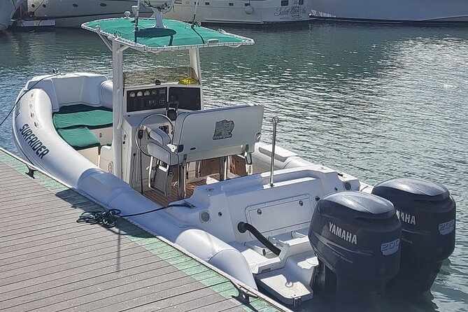 Private Dolphin and Whale Watching Tour in Newport Beach - What Captain Dustin adds to the trip
