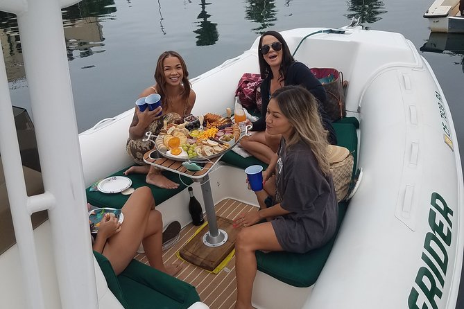 Private Dolphin and Whale Watching Tour in Newport Beach - The fast ride toward Laguna Beach and Dana Point