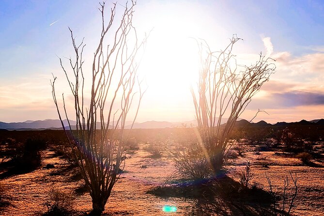 Private Driving and Hiking Tour in Joshua Tree National Park - What the private drive from Palm Springs is like