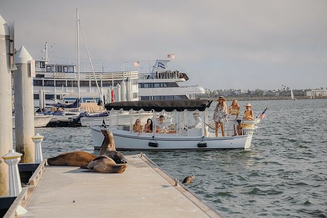 Private E-Boat Cruise: Wine, Charcuterie and Sea Lion Spotting - Key points to know before booking