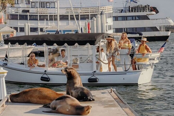 Private E-Boat Cruise: Wine, Charcuterie and Sea Lion Spotting - A quiet electric cruise through Marina del Rey
