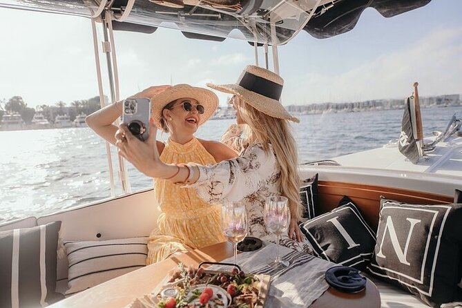 Private E-Boat Cruise: Wine, Charcuterie and Sea Lion Spotting - What you see from the dock to the harbor