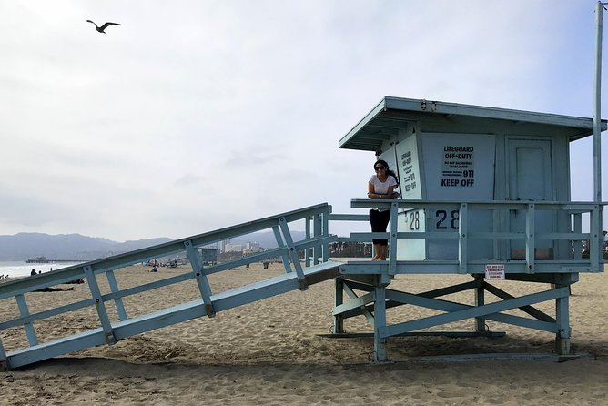 Private EBike Tour of Santa Monica and Venice Beaches - Skateboarding, public art, and Muscle Beach
