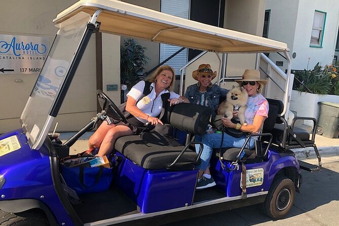 Private Guided Golf Cart Tour of Avalon - Pebbly Beach, Mt. Ada, and the three palms