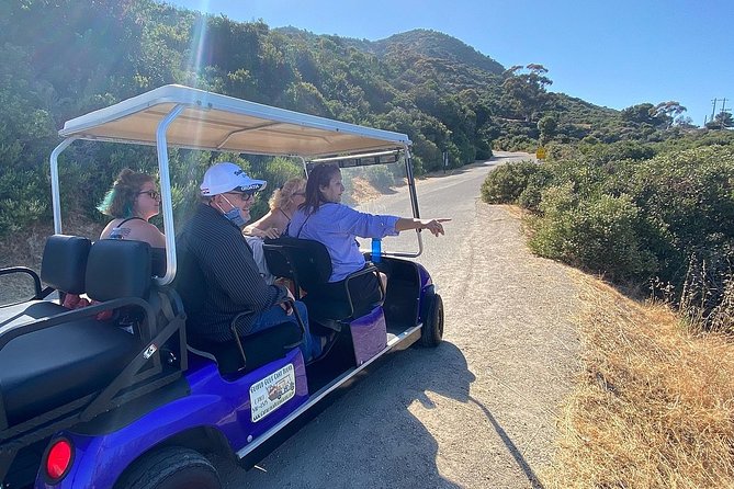 Private Guided Golf Cart Tour of Avalon - Bell Tower Road viewpoints and the Casino