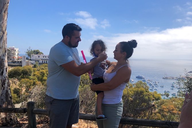 Private Guided Golf Cart Tour of Avalon - What the guides add to the ride