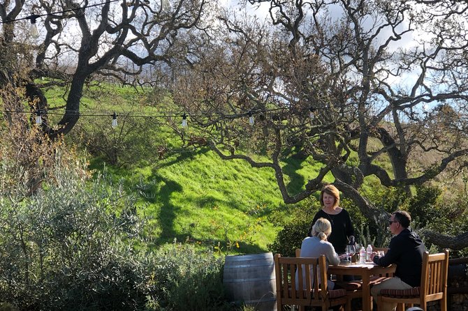 Private Guided Wine Country Tour from Santa Barbara - Why the small wineries matter
