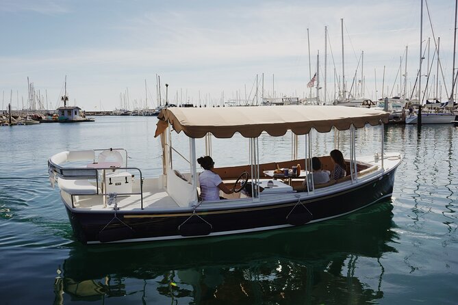 Private Harbor Cruise on Electric Boat in Santa Barbara - Leaving from 113 Harbor Way