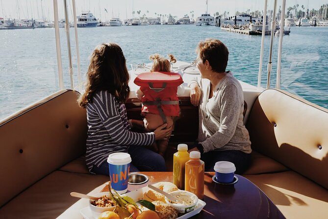 Private Harbor Cruise on Electric Boat in Santa Barbara - Wildlife, yachts, and the changing Santa Barbara view