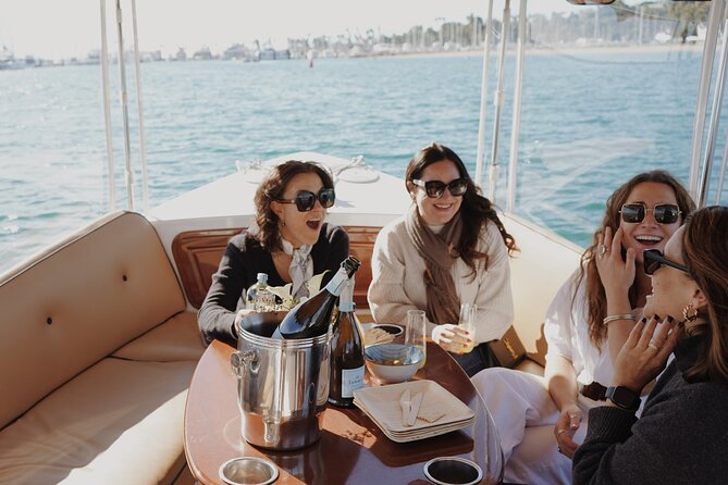 Private Harbor Cruise on Electric Boat in Santa Barbara - What the one-hour route actually covers