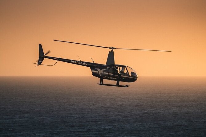 Private Helicopter Tour of Hollywood Sign, Beaches and More - Starting in Long Beach, not Hollywood