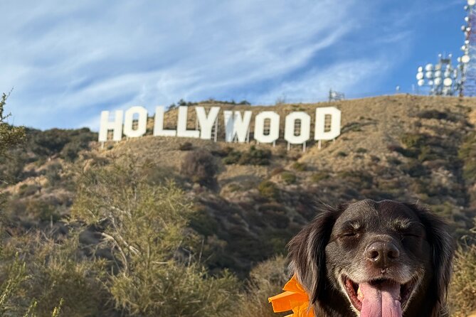 Private Hollywood Sign Hiking Tour with Select Hotel Pickup - Why a Private Group Makes Sense