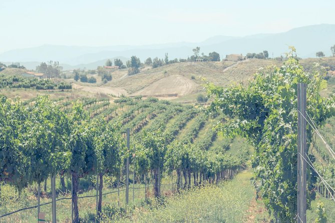 PRIVATE Luxury Transportation Experience - Temecula Valley - Who will enjoy this Temecula outing most?