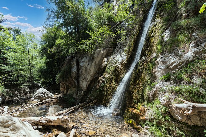 Private Malibu Waterfall Hike & Pacific Coast Drive - A Malibu outing with two very different halves