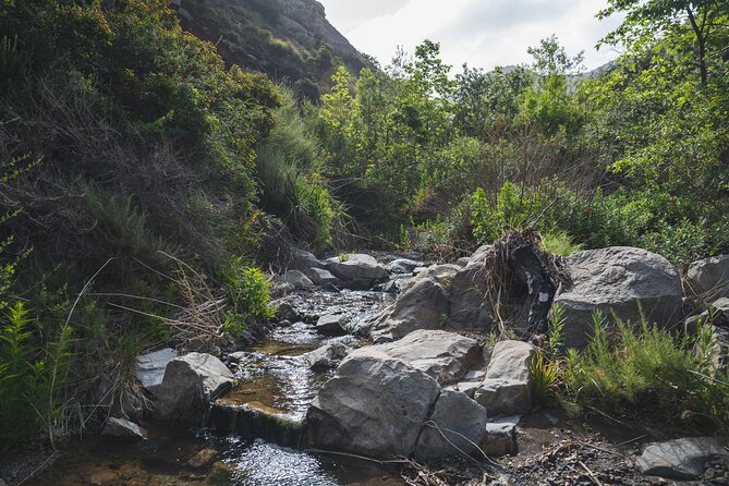 Private Malibu Waterfall Hike & Pacific Coast Drive - What the $565 group price really buys