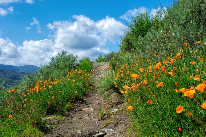 Private Malibu Waterfall Hike & Pacific Coast Drive - Timing, pickup, and pace