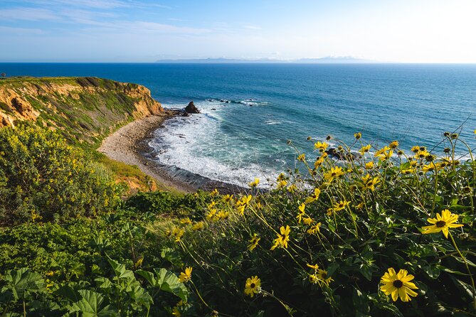 Private Malibu Waterfall Hike & Pacific Coast Drive - Who will enjoy this most
