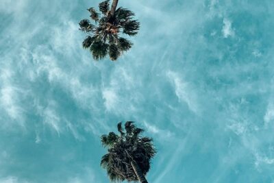 Private Photo Tour of the Best Instagram Spots in Los Angeles