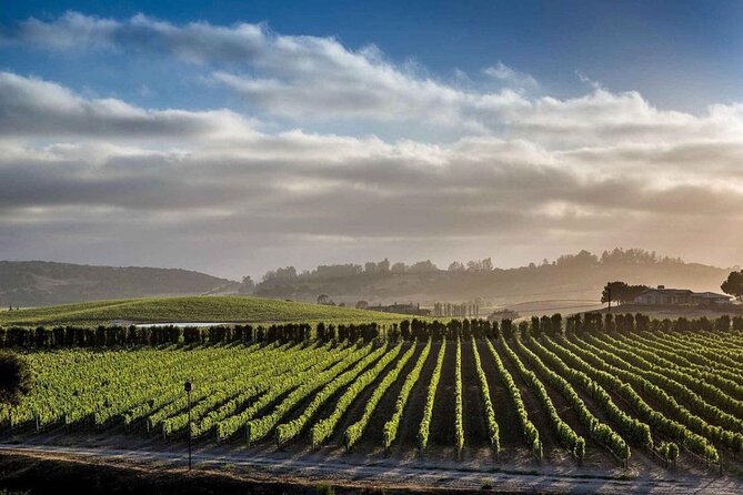 Private Santa Barbara Wine Country Vineyards & Villages Tour - What the $338 price buys you