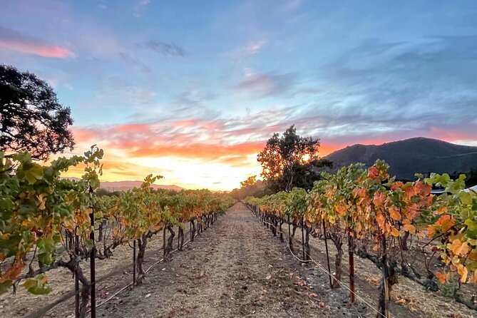 Private Santa Barbara Wine Country Vineyards & Villages Tour - Stop one: Solvang or a vineyard winery