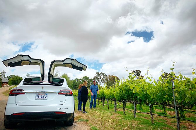 Private Santa Barbara Winery and Estate Tour in Tesla SUV - Who will get the most from this tour