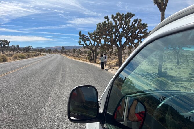 Private Sightseeing Adventure Tour of Joshua Tree National Park - Key points to know before booking