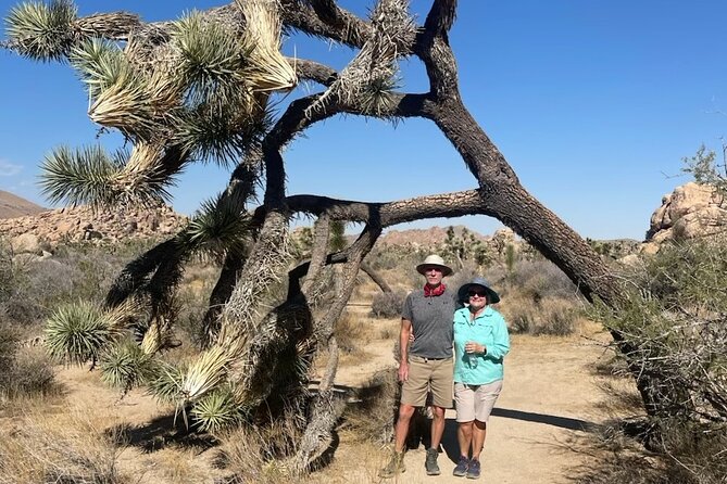 Private Sightseeing Adventure Tour of Joshua Tree National Park - Hidden Valley gives the tour its best walk