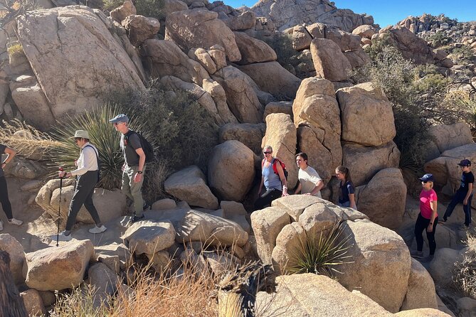 Private Sightseeing Adventure Tour of Joshua Tree National Park - The guides shape the experience