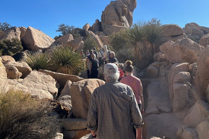 Private Sightseeing Adventure Tour of Joshua Tree National Park - Banana Cracks and the art of stopping to look