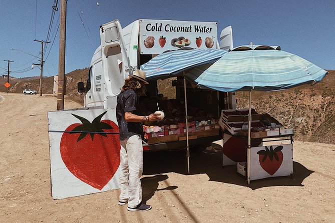 Private Vintage VW Hippie Tour to Malibu with wine tasting - Why the VW van changes the Malibu experience