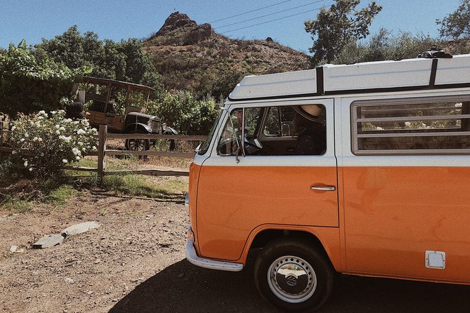 Private Vintage VW Hippie Tour to Malibu with wine tasting - Who will enjoy this private Malibu ride?